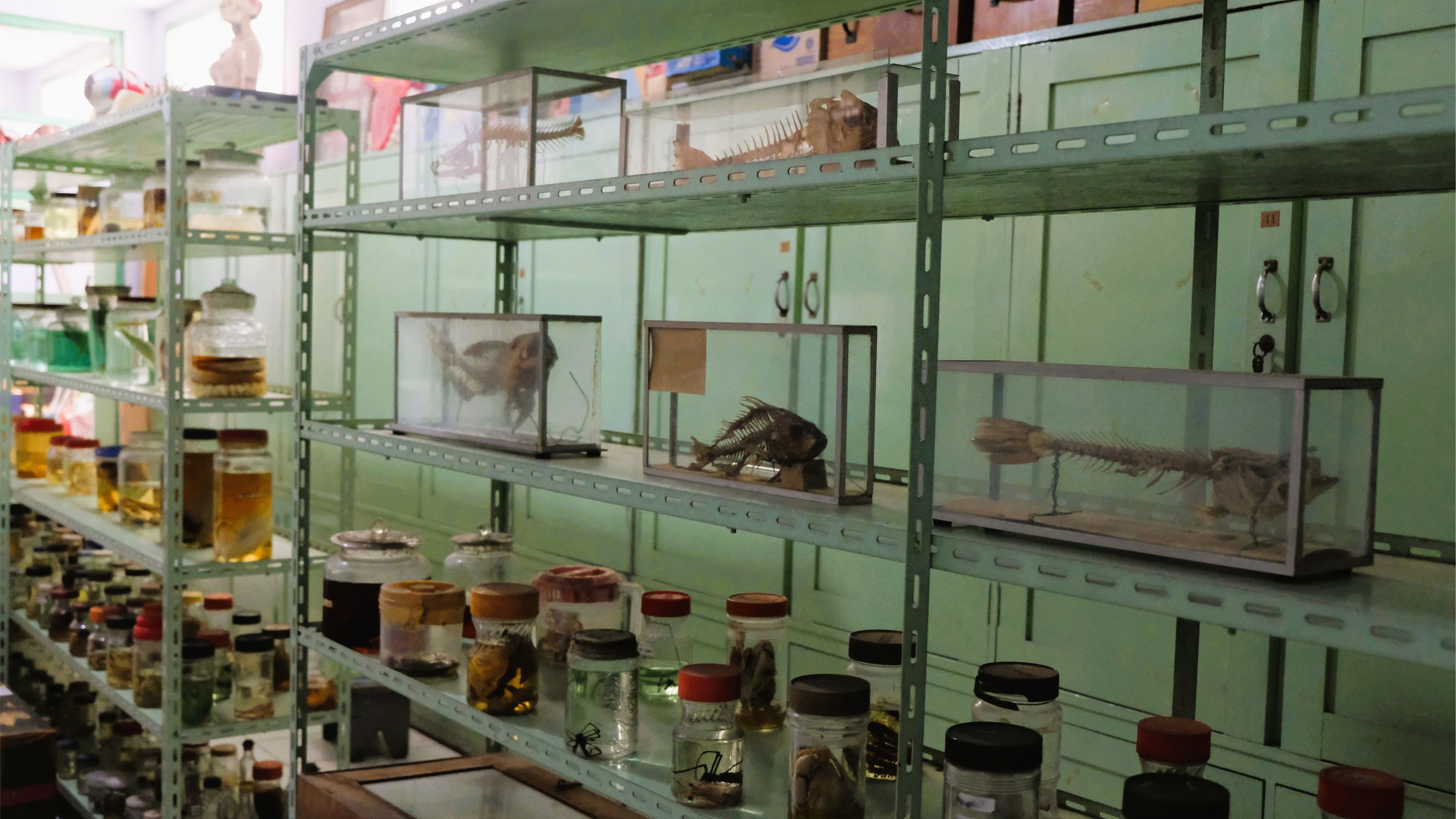 Fasilitas Ekstrakurikuler 7